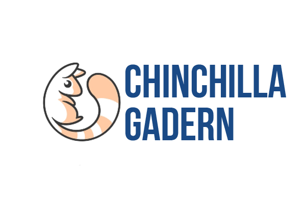 ChinChilla Garden